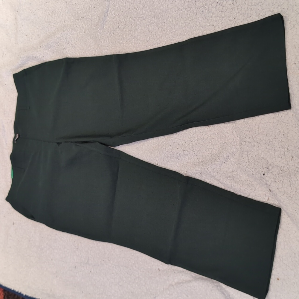 Sz 12: Hilary Bradley Green Flexible Pants